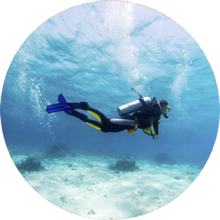 Buceo